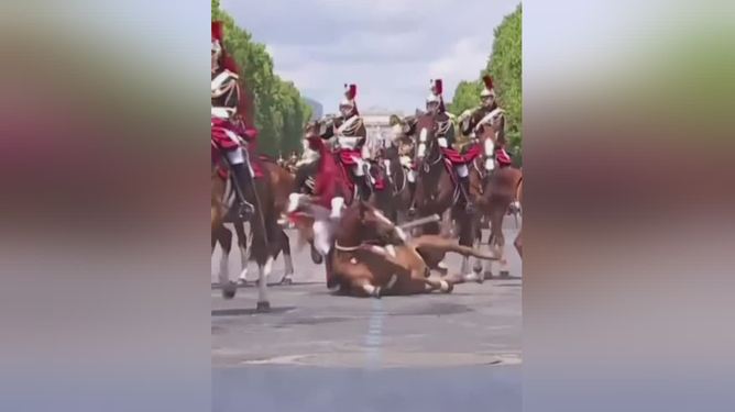 法国队险胜瑞典队,马龙统治全场 法国队险胜瑞典队,马龙统治全场